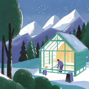 Carpenter illustration