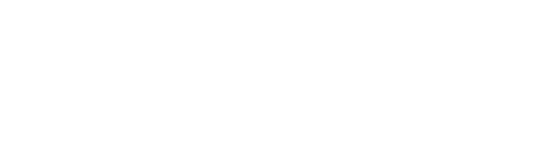 Squadrone System Logo